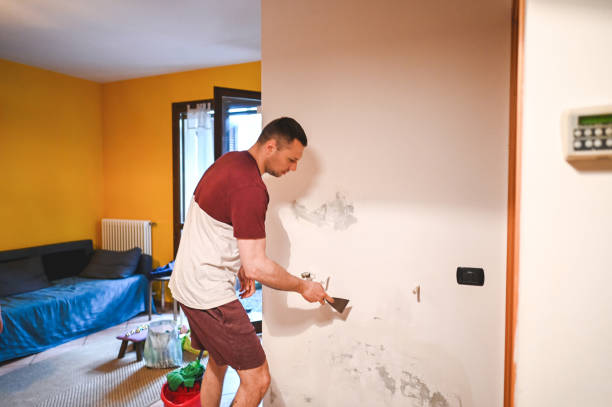 Best Kitchen Mold Remediation in Woodsville, NH